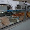 moda_antiga_out_2013 040